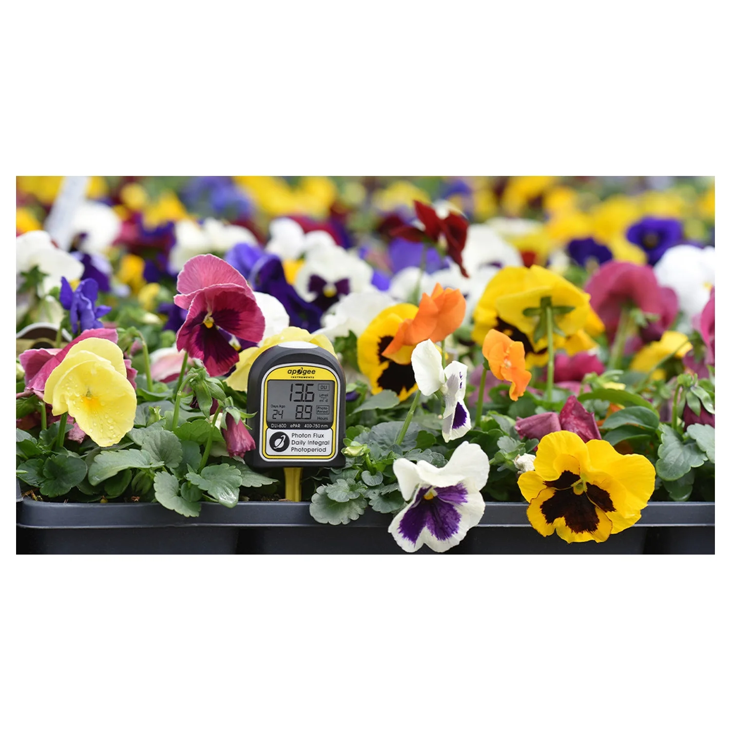 Apogee Instruments DLI-600 ePAR, Daily Light Integral, and Photoperiod Meter (400-750 nm) - Image 7
