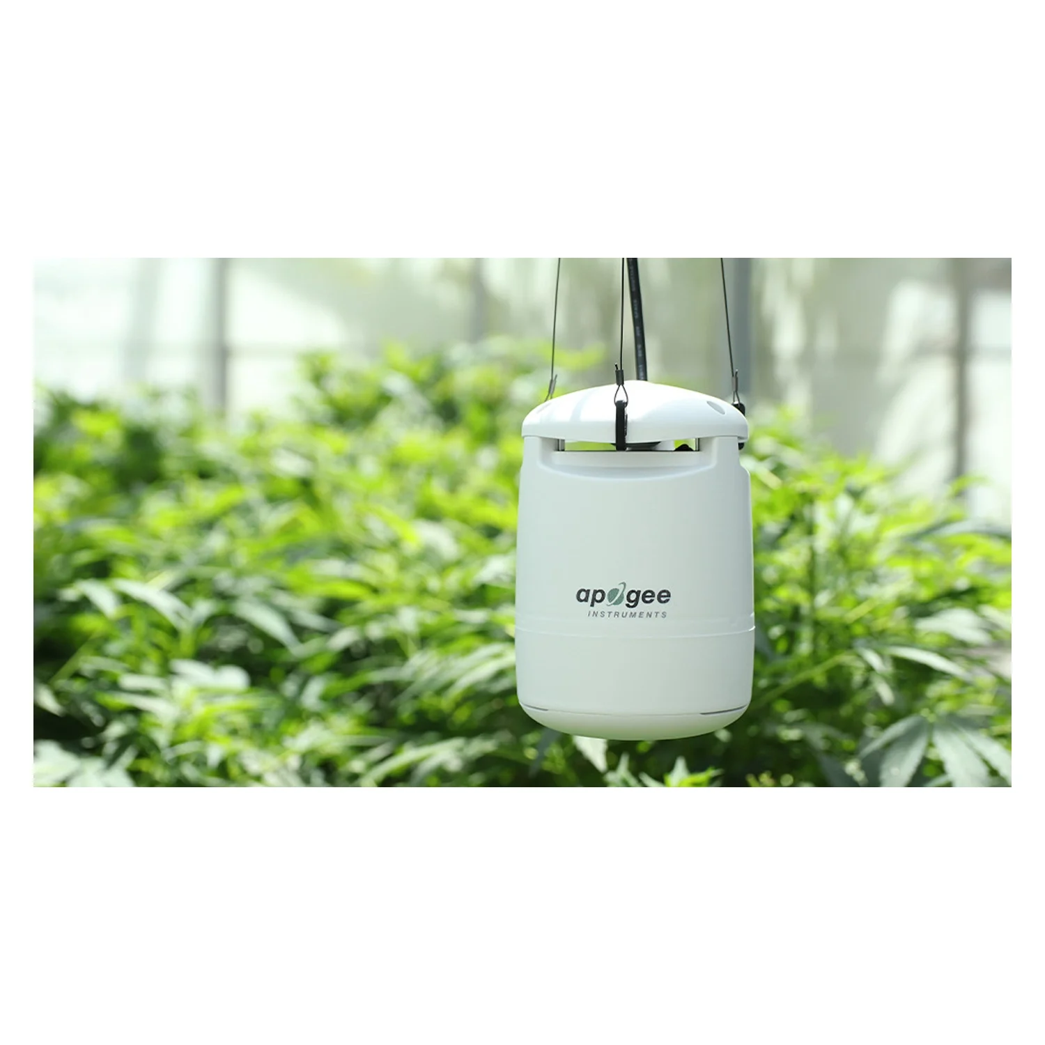 Apogee Instruments SM-500 Full-Spectrum Guardian CEA Multi-Sensor Monitor - Image 6