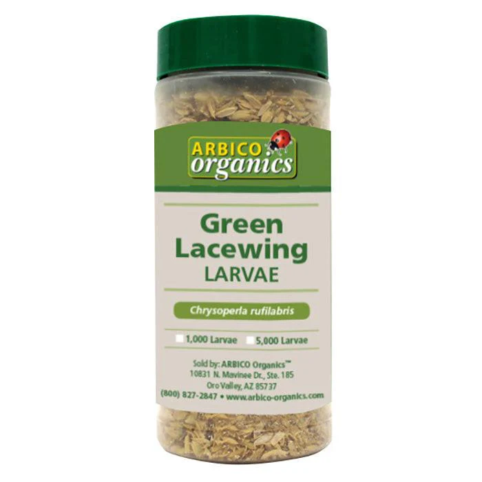 ARBICO Organics Green Lacewing Larvae - Image 3