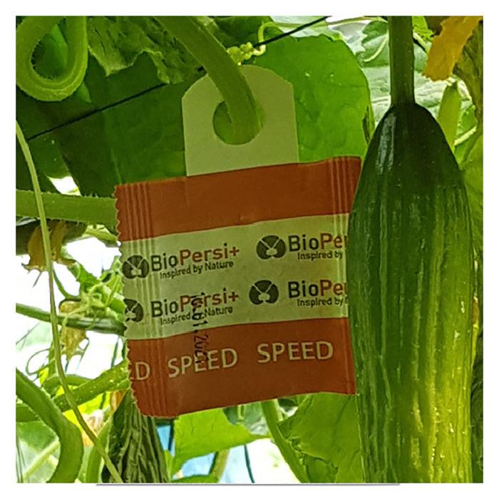 ARBICO Organics Phytoseiulus Persimilis PLUS Beneficial Mites - Image 3