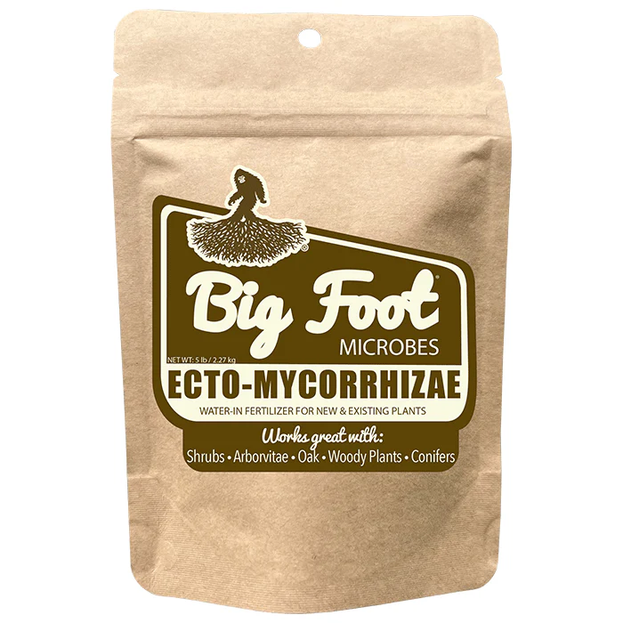 Big Foot Mycorrhizae Ecto-Mycorrhizae - Image 4