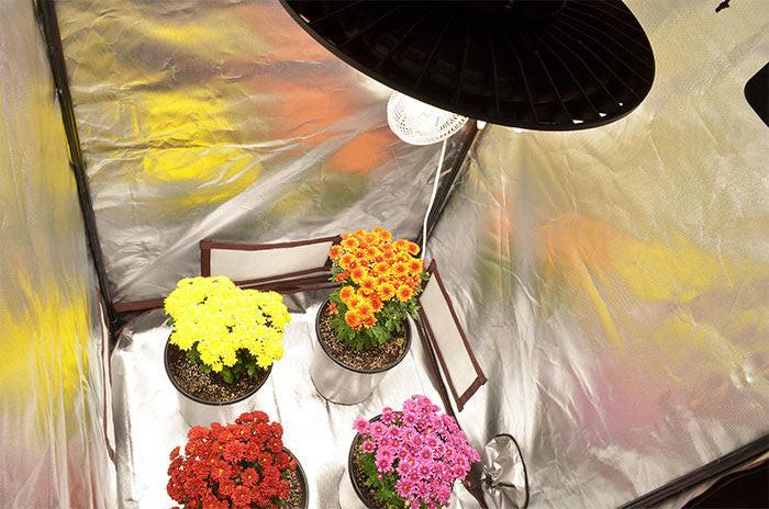Covert 3' x 3' 150 Watt UFO LED Grow Tent Kit With Automated Ventilation Package - Image 11