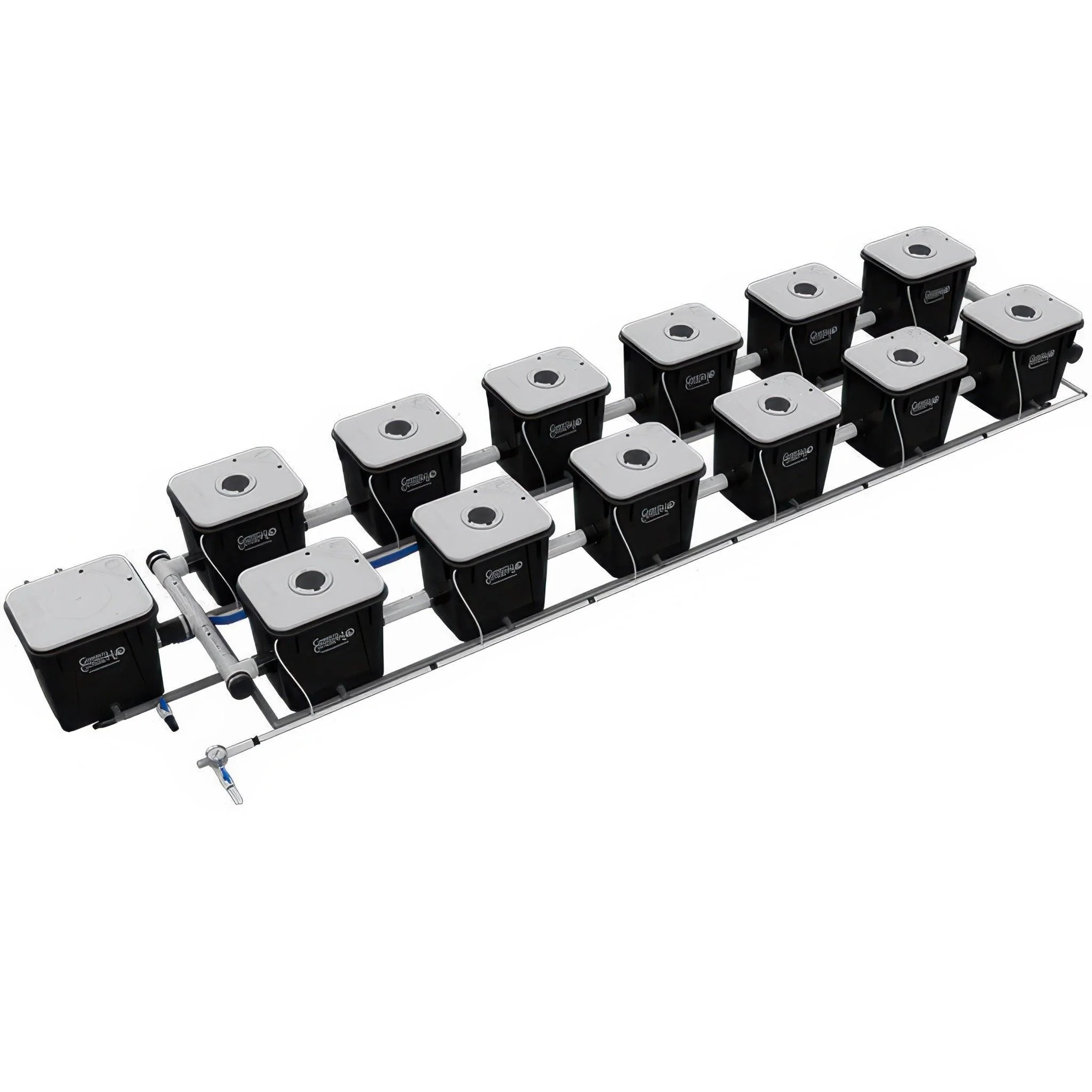 Current Culture Under Current UCXL RDWC System, 12-Site, 2-Row