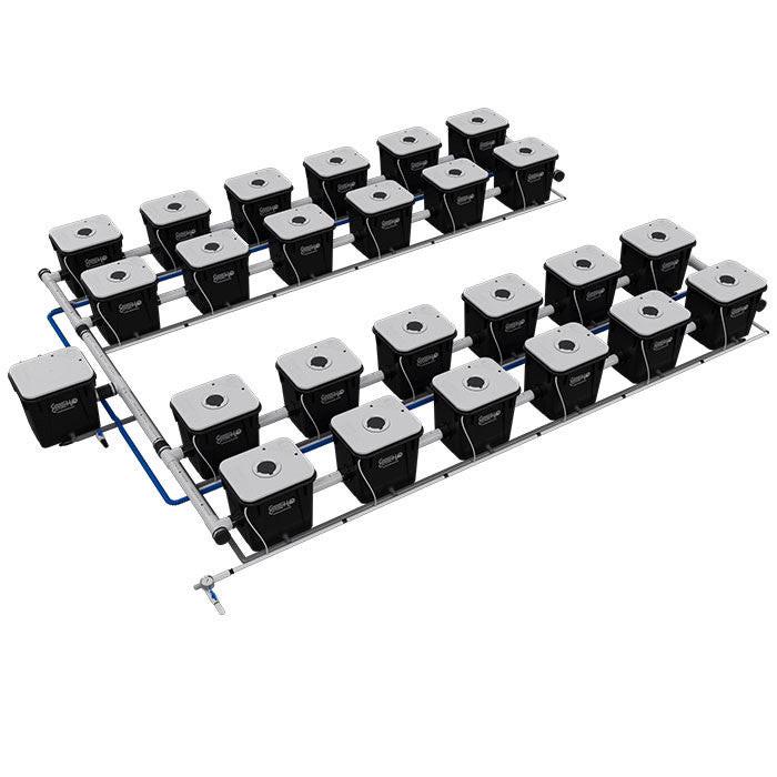 Current Culture Under Current UCXL RDWC System - Image 15