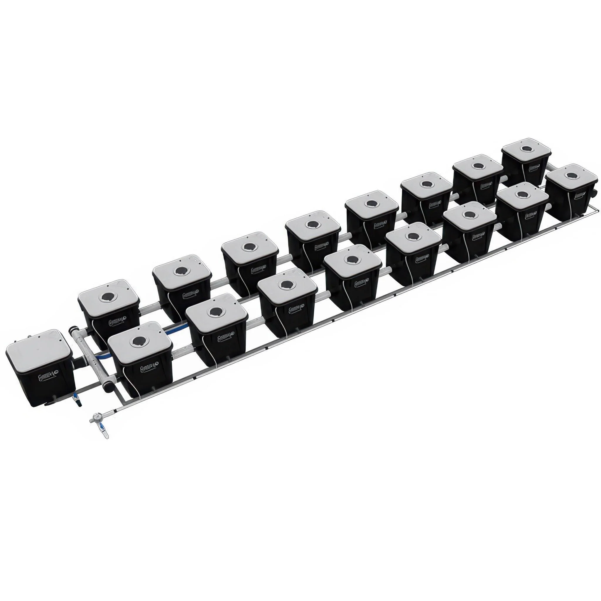 Current Culture Under Current UCXL RDWC System, 16-Site, 2-Row