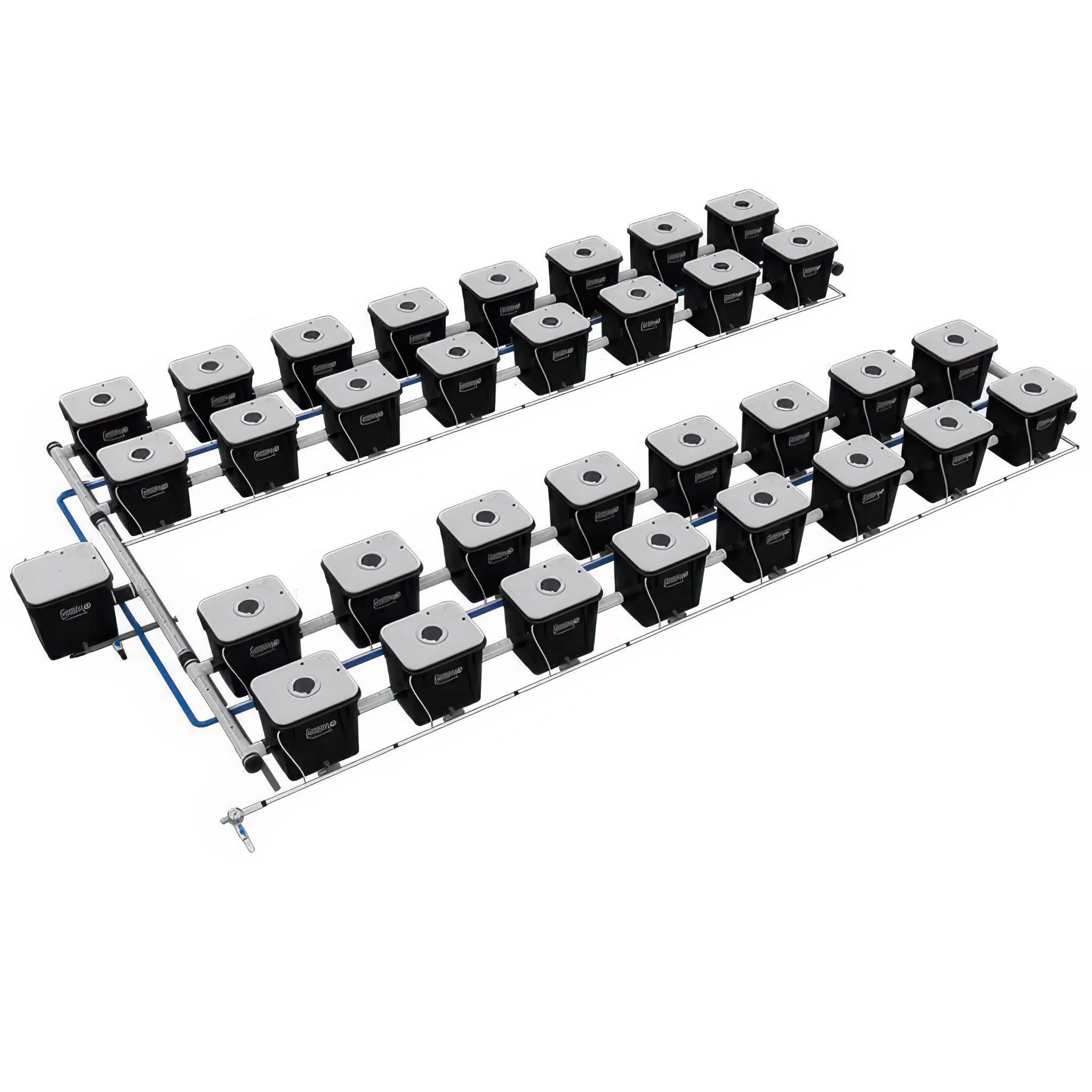 Current Culture Under Current UCXL RDWC System, 32-Site, 4-Row