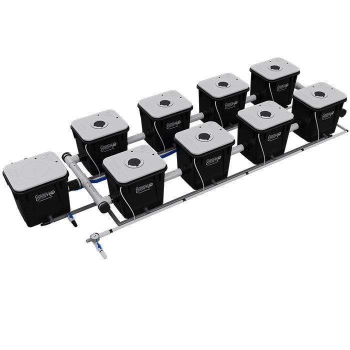 Current Culture Under Current UCXL RDWC System - Image 9