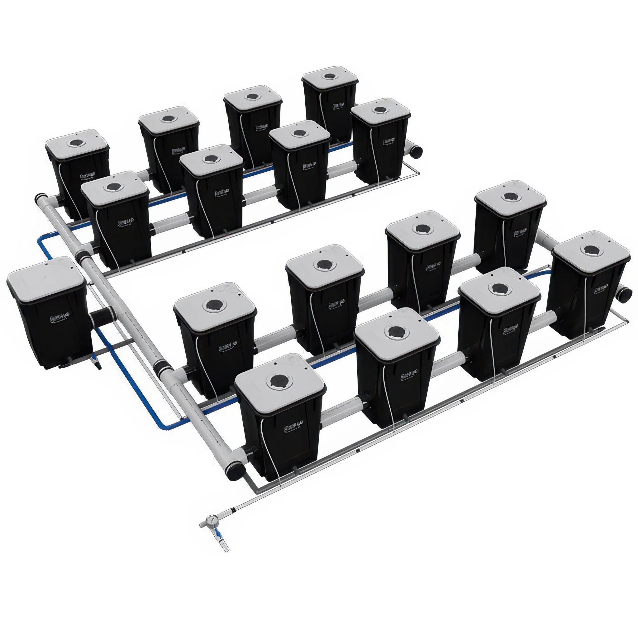 Current Culture Under Current UCXL13 RDWC System - Image 7