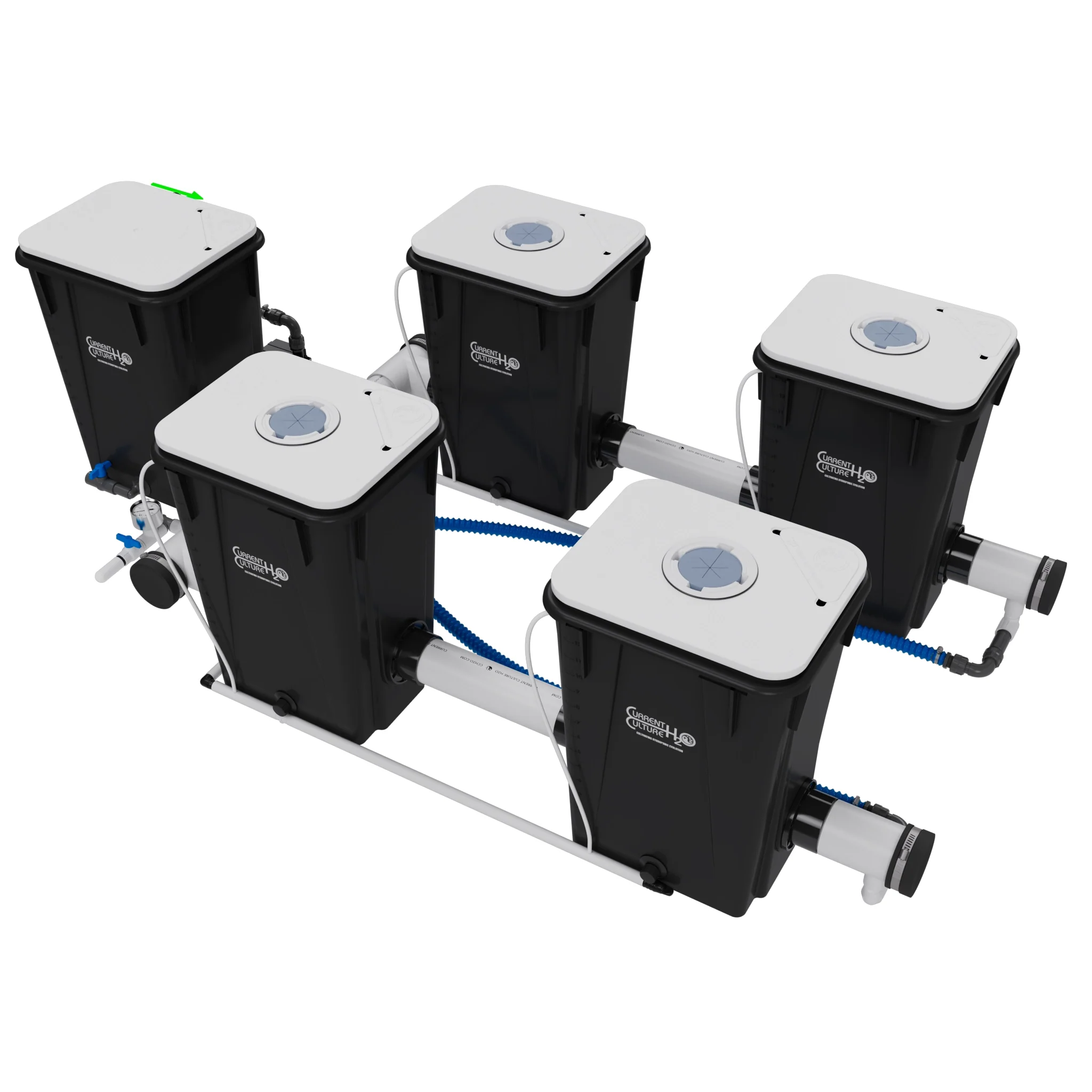 Current Culture Under Current UCXL13 RDWC System, 4-Site, 2-Row - Image 2