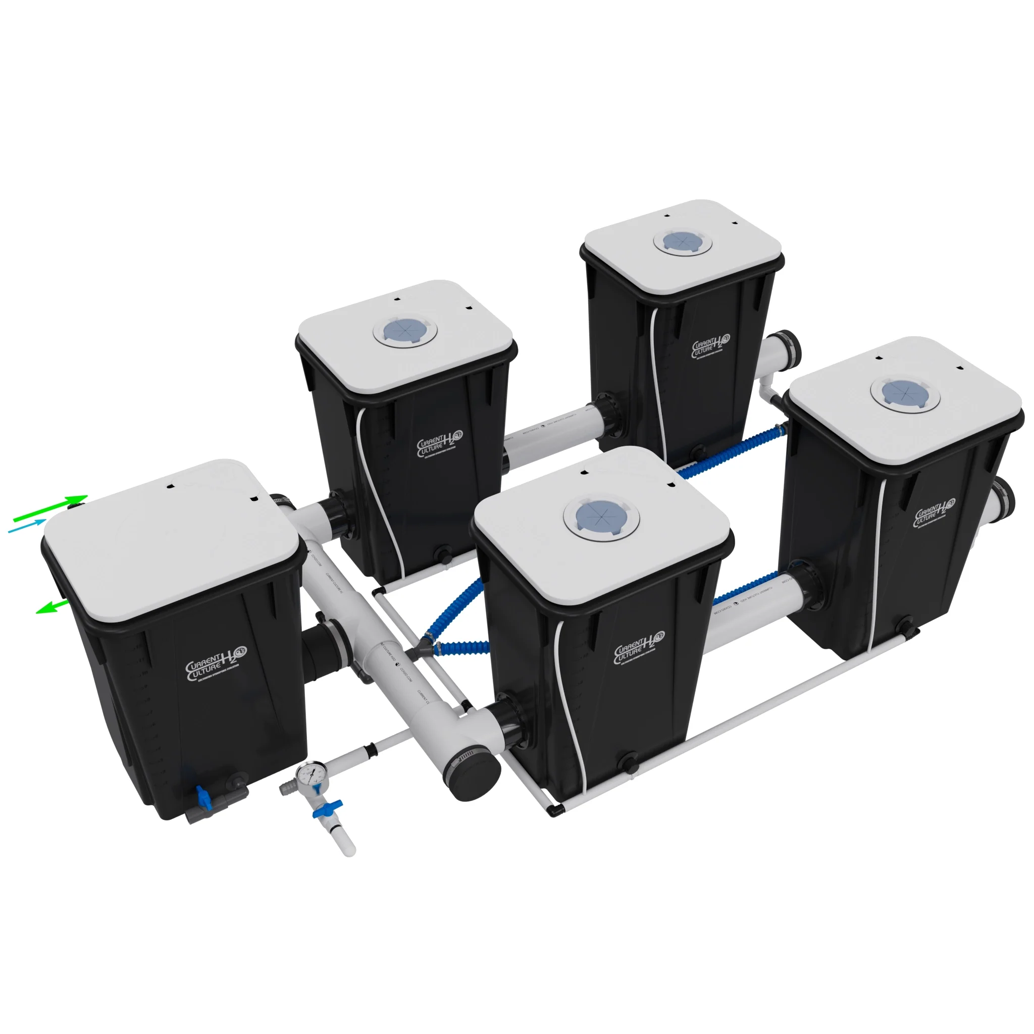 Current Culture Under Current UCXL13 RDWC System, 4-Site, 2-Row - Image 3