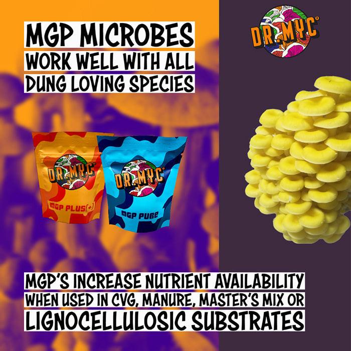 Dr. Myc MGP Pure Microbes, 25 Grams - Image 5