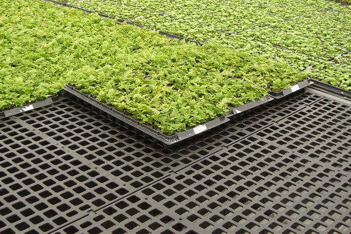 Dura-Bench Greenhouse Plastic Bench Tops - Image 16
