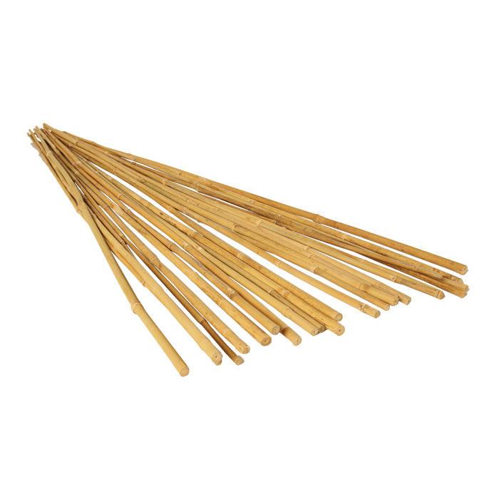 GROW!T Natural Bamboo Stakes, 6 Foot - Pack of 25