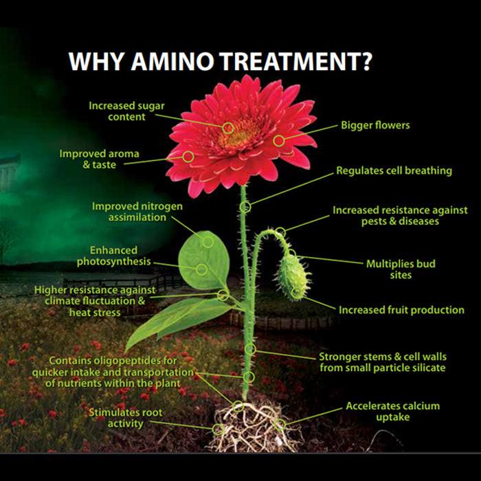 House and Garden Amino Treatment - Image 6