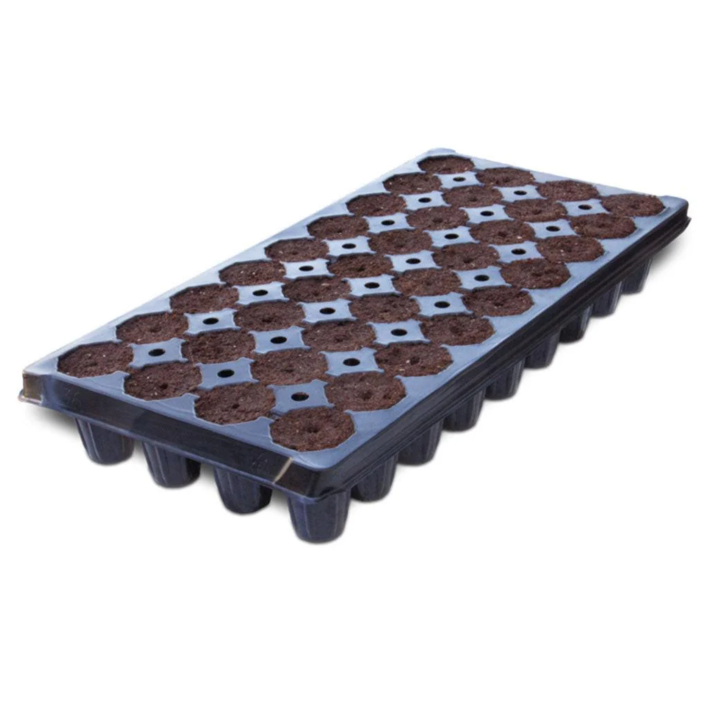 IHORT 36 Deep Prefilled Excel Plug Tray, Wrapped Pallet of 160 Trays - 5,760 Total Plugs - Image 2