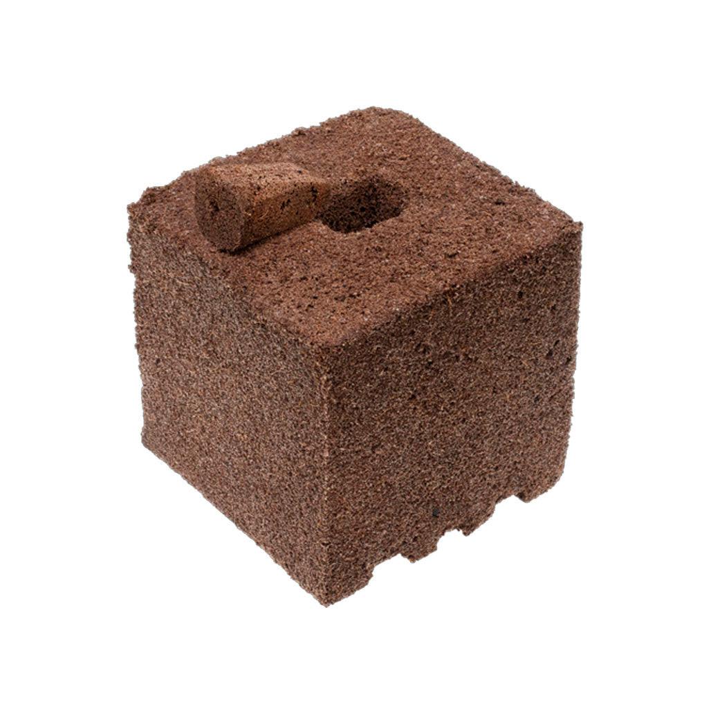 IHORT Q-PLUG Deep Grow Block with Hole, 6 Inch x 6 Inch x 6 Inch - Case of 24