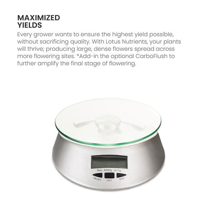 Lotus Pro Series Bloom, 128 oz. - Image 5