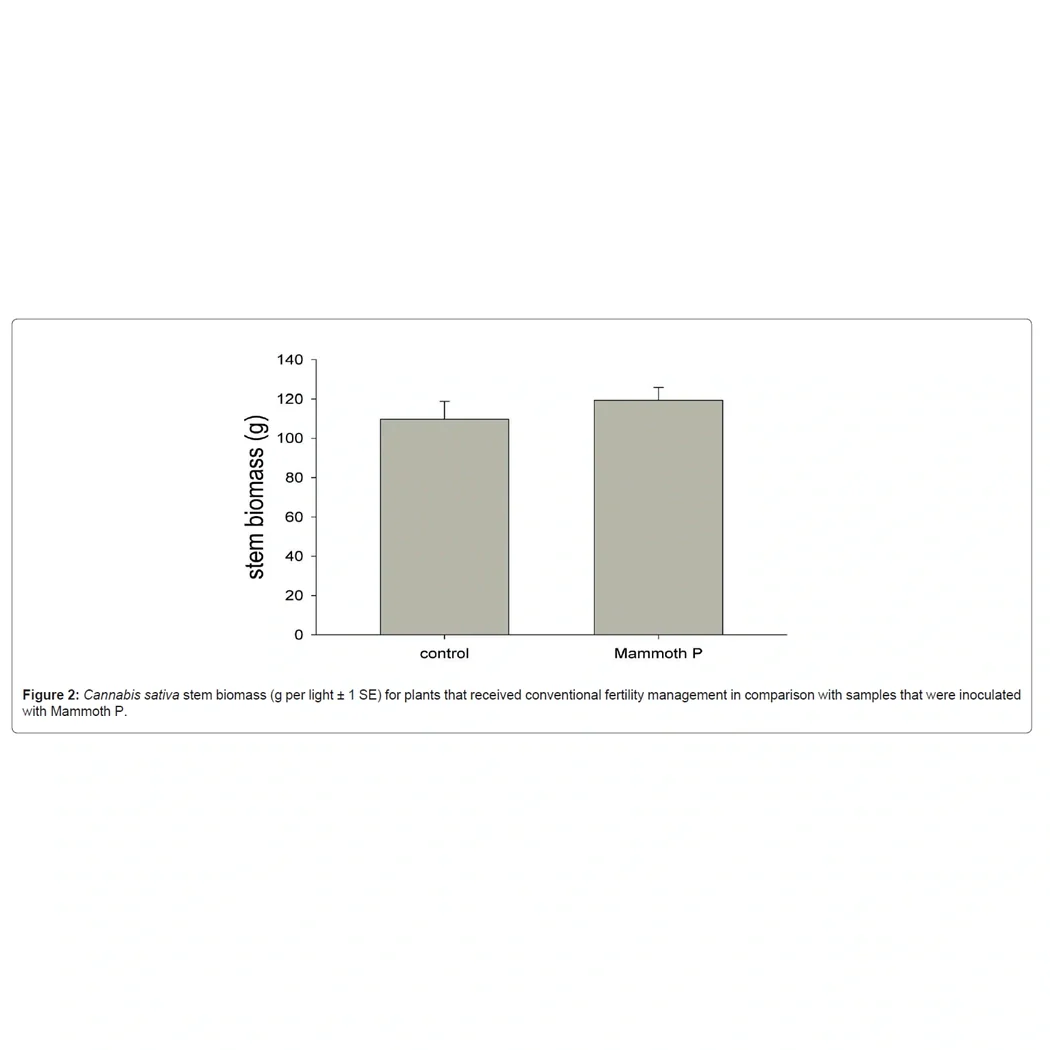 Mammoth P Active Microbials - Image 11