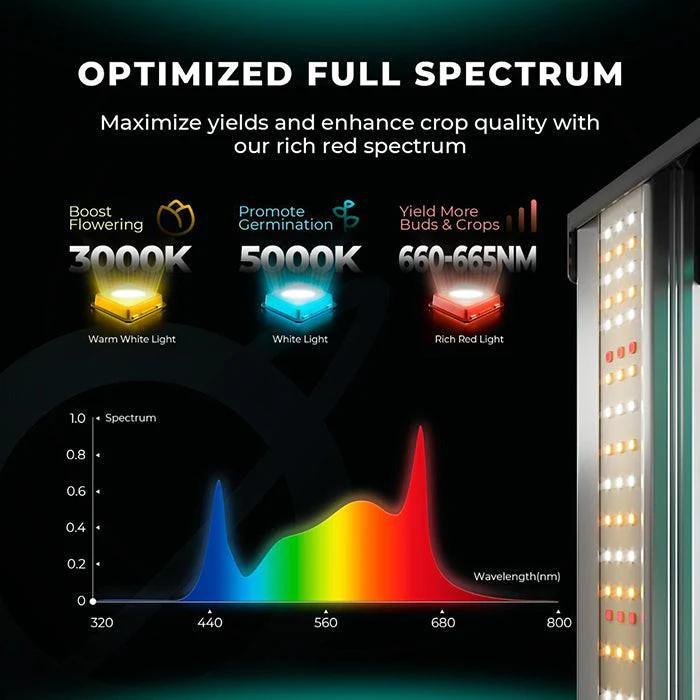 Mars Hydro Smart FC3000-EVO Samsung LM301H 300 Watt LED Grow Light - Image 8