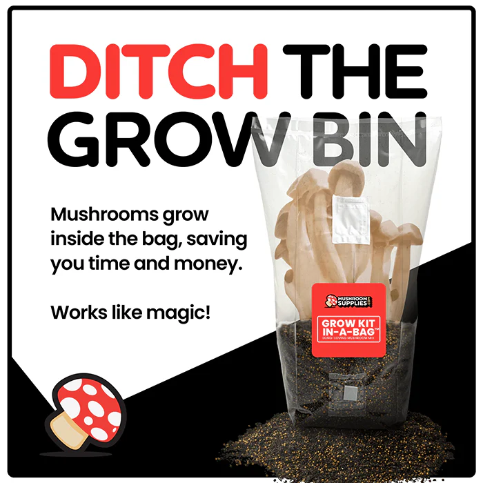 Mushroom Supplies All In One Mushroom Grow Kit In-A-Bag, 3 lbs - Image 5