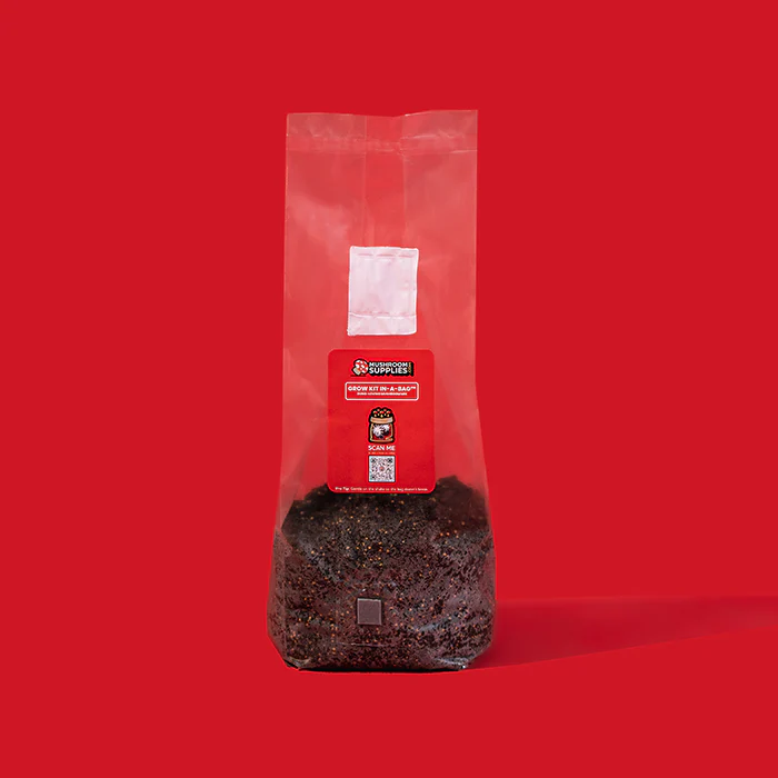 Mushroom Supplies All In One Mushroom Grow Kit In-A-Bag, 5 lb - Image 3