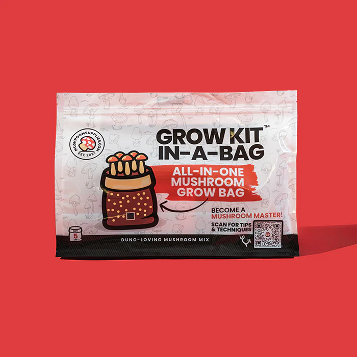 Mushroom Supplies All In One Mushroom Grow Kit In-A-Bag, 5 lb - Image 4