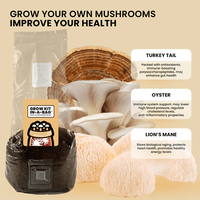 Mushroom Supplies Wood-Loving All In One Mushroom Grow Kit In-A-Bag, 3 lbs - Image 3