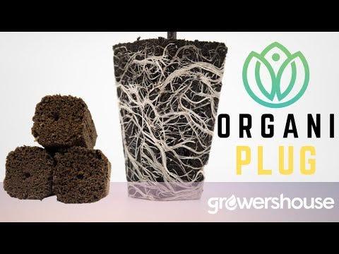 OrganiPlug Seed & Cutting Plugs - Pre-Filled Tray w/ 50 Plugs - Single, Case, and Pallet - Image 8