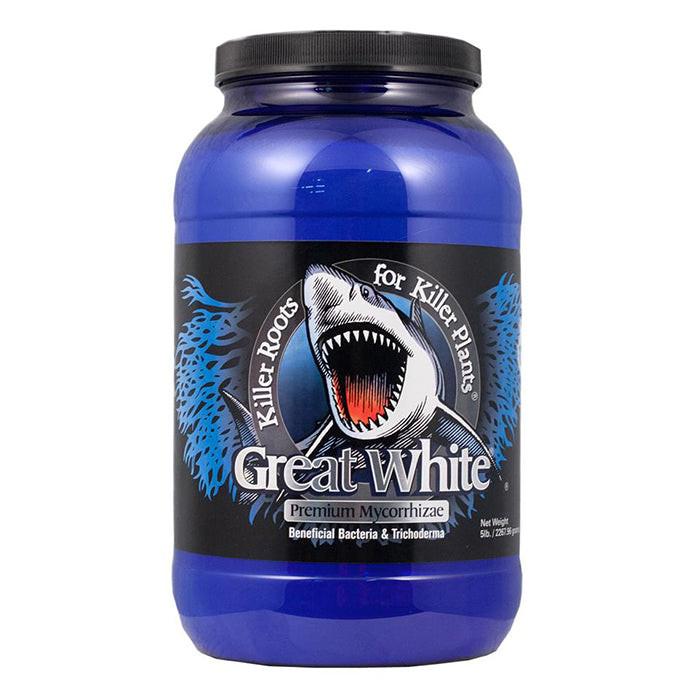 Plant Success Great White - Image 11