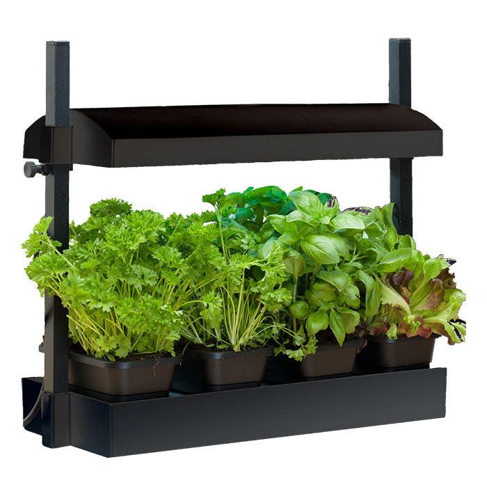 SunBlaster Grow Light Gardens - Image 6
