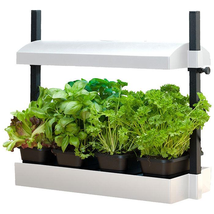 SunBlaster Grow Light Gardens - Image 8