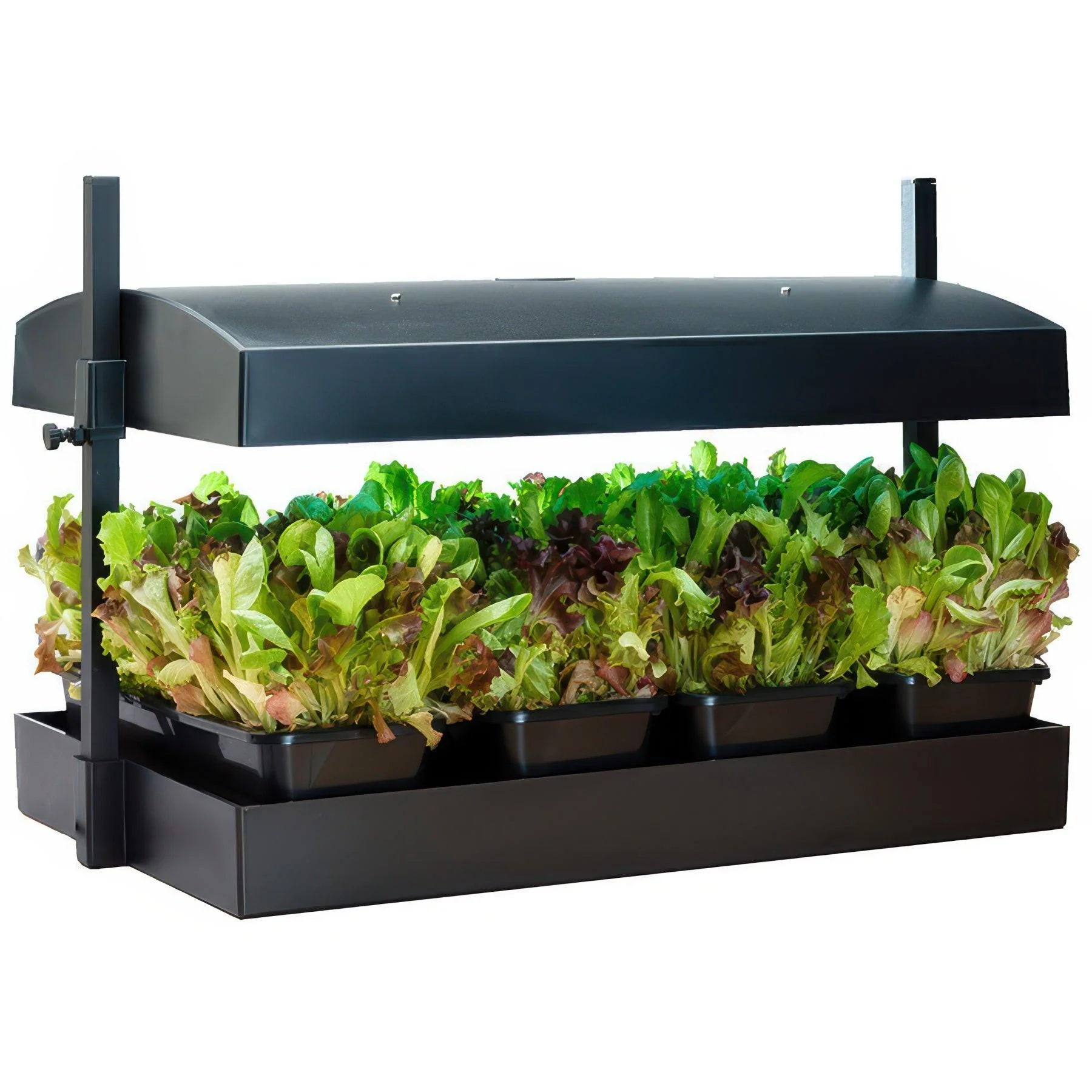 SunBlaster Grow Light Gardens - Image 5