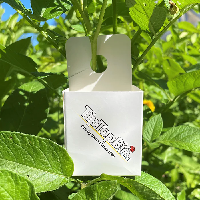 Tip Top Bio-Control Beneficial Insect Hanging Release Boxes, Box of 1,000 - 100 Packs of 10 - Image 3