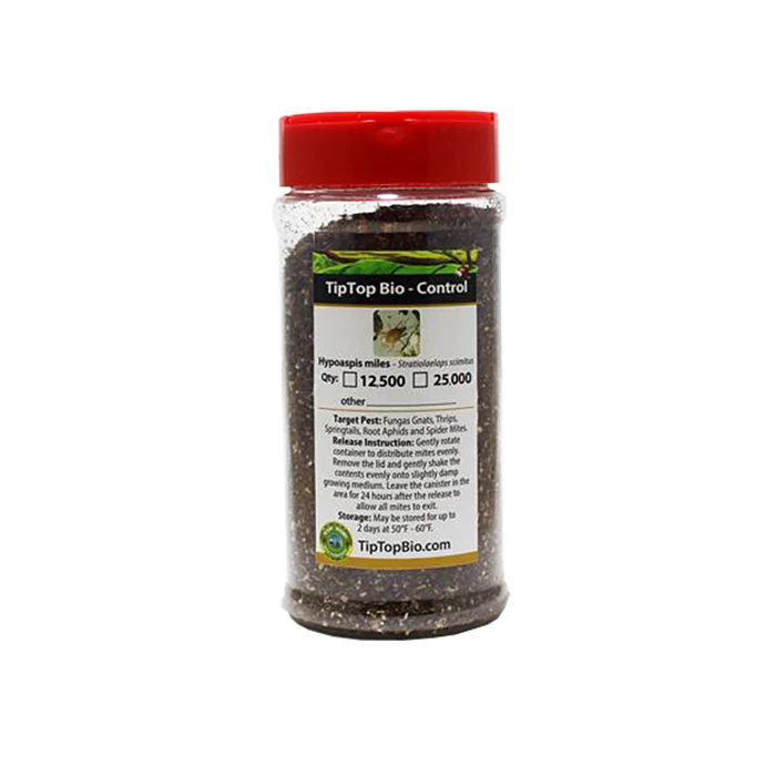 Tip Top Bio-Control Hypoaspis Miles/Stratiolaelaps Scimitus Beneficial Mites - Image 4