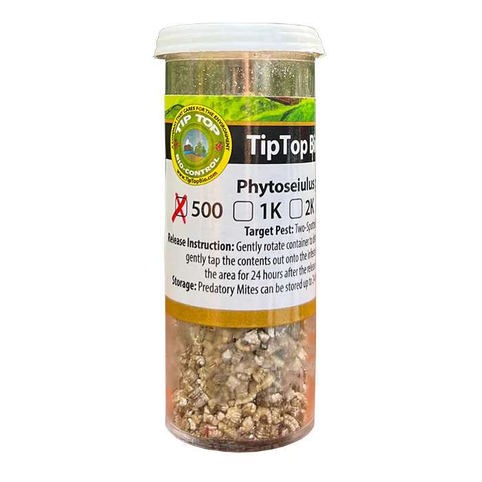 Tip Top Bio-Control Phytoseiulus Persimilis Beneficial Mites - Image 4