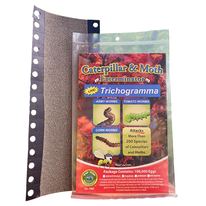 Tip Top Bio-Control Trichogramma Brassicae For Caterpillar & Moth Control, Hanging Card of 100,000