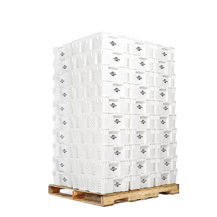 Twister Stackable Freezing / Handling Trays - Pack of 10 - Image 2