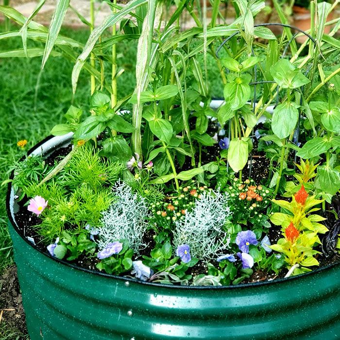 Vego Garden 17 Inch Tall 42 Wide Round Metal Raised Garden Bed - Olive Green - Image 8
