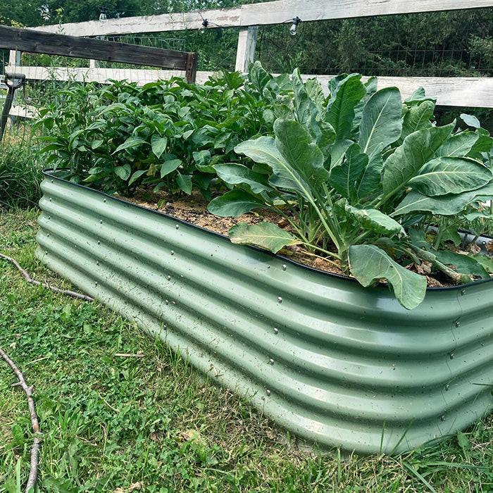 Vego Garden 17 Inch Tall 9 in 1 Modular Metal Raised Garden Bed Kit - British Green - Image 9